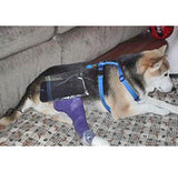 Infrared Red Light Human Animal Pain Relief