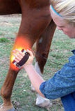 Infrared Red Light Human Animal Pain Relief